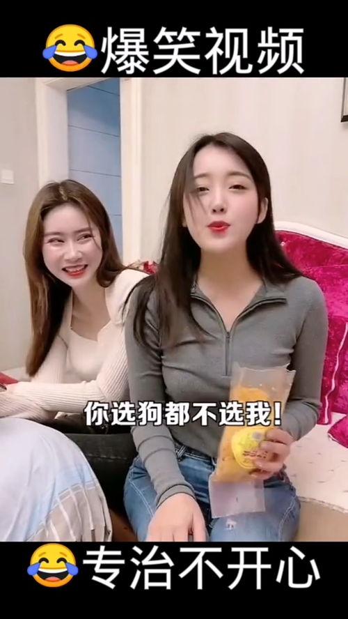 哈哈爆料搞笑视频,笑点满满，欢乐无限